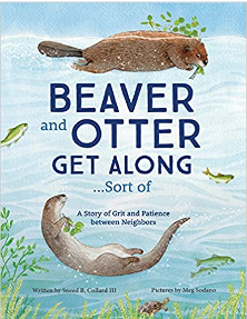 Beaver