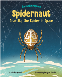 spidernaut
