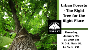 Jared Fleming presents Urban Forests - The Right Tree for the Right Place