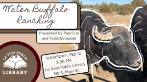 Water Buffalo Ranching!